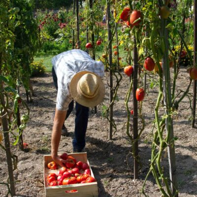 Prácticas Erasmus : jardinería