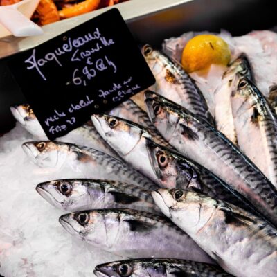 Erasmus Internship: fishmonger